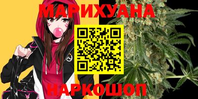 индика Заводоуковск