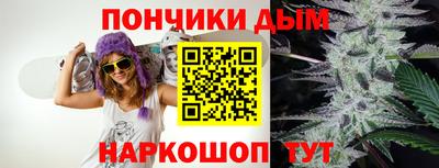 индика Заводоуковск