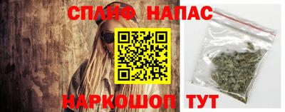 индика Заводоуковск