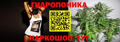 СК Жуковский