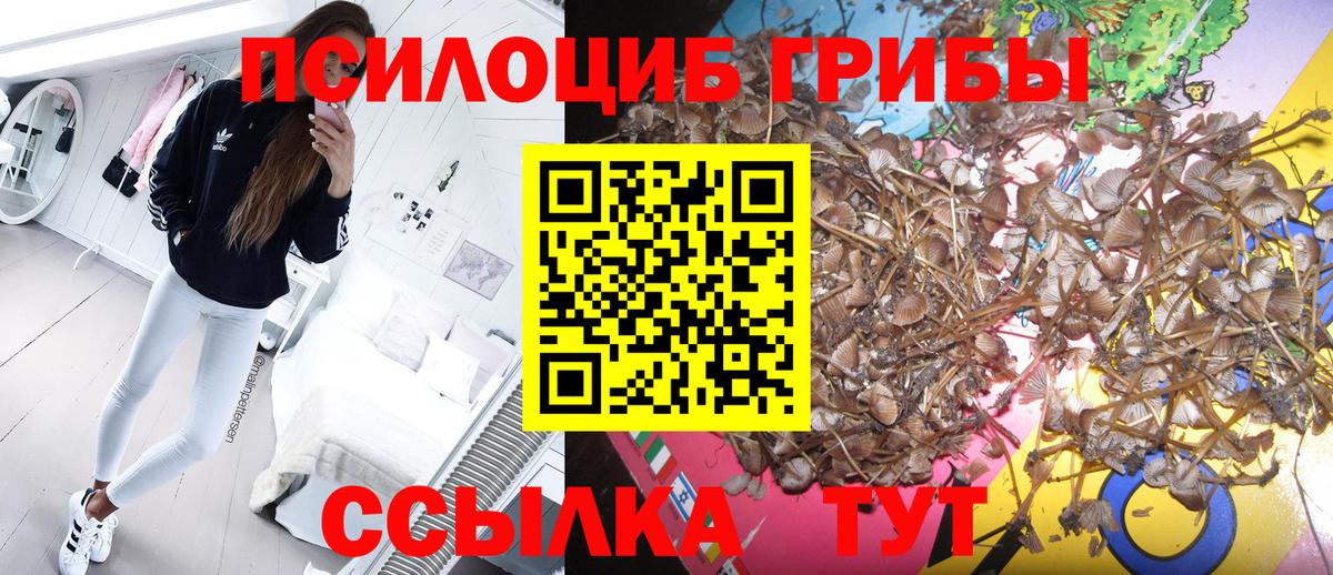 Конопля Красноперекопск