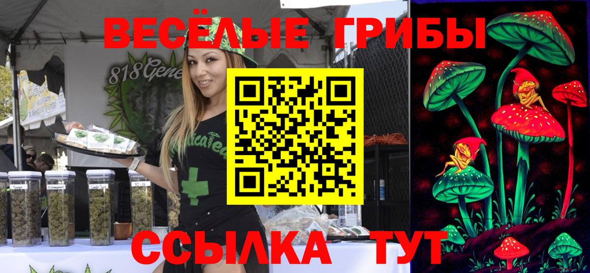 купить наркотик  Вход с VPN  Псилоцибиновые грибы Cubensis  Красноперекопск  Галлюциногенные грибы Magic Shrooms 