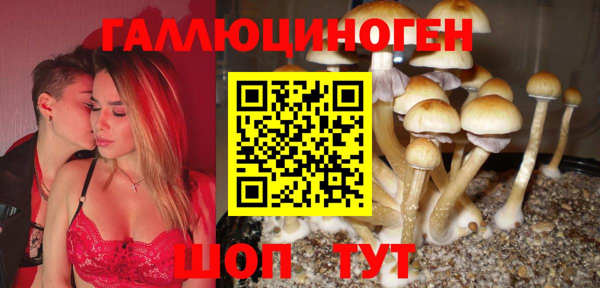 Галлюциногенные грибы ЛСД Красноперекопск